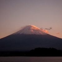 IGREBOW ͼ�����֤����ޤ��ٻλ� �ӥå���������[����� 1��1] ��������ܥ� ����ƥꥢ�ե��� �ԥ����㡼������ �̿�