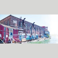 IGREBOW �˥塼�衼�� �����ꥢ�ॺ�С��� ����ե�ʸŤ���ʪ �ӥå���������[���å� 1��2] ��������ܥ� ����ƥꥢ�ե��� �ԥ����㡼������ �̿�