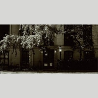 IGREBOW �˥塼�衼�� �����륷���γ��¤� �ӥå���������[����� 1��2] ��������ܥ� ����ƥꥢ�ե��� �ԥ����㡼������ �̿�