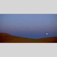 IGREBOW 󥴥 ΥӺ ӥå[å 12] ܥ ƥꥢե ԥ㡼 ̿