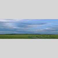 IGREBOW 󥴥 𸶤Τ ӥå[ 13] ܥ ƥꥢե ԥ㡼 ̿