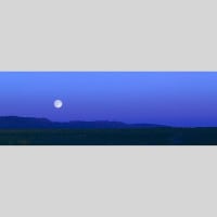 IGREBOW 󥴥 𸶤˾ ӥå[ 13] ܥ ƥꥢե ԥ㡼 ̿