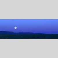 IGREBOW 󥴥 𸶤˾ ӥå[å 13] ܥ ƥꥢե ԥ㡼 ̿