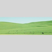 IGREBOW 󥴥 ƥ른 𸶤 ӥå[å 13] ܥ ƥꥢե ԥ㡼 ̿