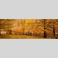 IGREBOW 󥴥 ƥ른ο ӥå[ 13] ܥ ƥꥢե ԥ㡼 ̿