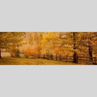 IGREBOW 󥴥 ƥ른ο ӥå[å 13] ܥ ƥꥢե ԥ㡼 ̿