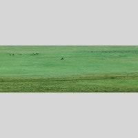 IGREBOW 󥴥 ƥ른 𸶤Ϥ˾äƶȴ̱ ӥå[ 13] ܥ ƥꥢե ԥ㡼 ̿