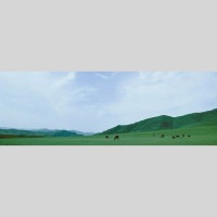 IGREBOW 󥴥 ƥ른 𸶤 ӥå[å 13] ܥ ƥꥢե ԥ㡼 ̿