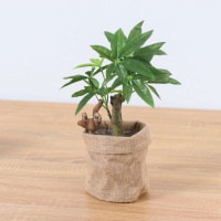 ����饤�� �ʥޥ���� �����ҡ��Υ� ��ݥå� 29cm��GLA-1521JA �����ƥ��ե�����륰�꡼�� �͹����տ�ʪ ���꡼��