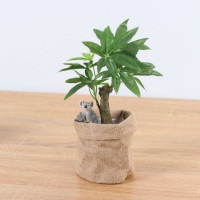 ����饤�� ������ �����ҡ��Υ� ��ݥå� 29cm��GLA-1521JB �����ƥ��ե�����륰�꡼�� �͹����տ�ʪ ���꡼��