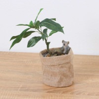 ����饤�� ������ �ѥ��� ��ݥå� 32cm��GLA-1522JB �����ƥ��ե�����륰�꡼�� �͹����տ�ʪ ���꡼��