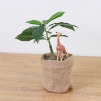 ����饤�� ����� �ѥ��� ��ݥå� 32cm��GLA-1522JC �����ƥ��ե�����륰�꡼�� �͹����տ�ʪ ���꡼��