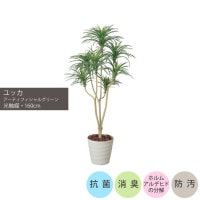 ���祯�Х���å�1.6m��GLPA-070 �����ƥ��ե�����륰�꡼�� �͹����տ�ʪ ȭ�դ����꡼��