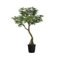 230cm���С��ե�å��女���åɡ�GLPT-231 �����ƥ��ե�����륰�꡼�� �͹����տ�ʪ ȭ�դ����꡼��