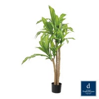 �ޥå���ݥå�M 120cm��GLP-1542 �����ƥ��ե�����륰�꡼�� �͹����տ�ʪ ȭ�դ����꡼��