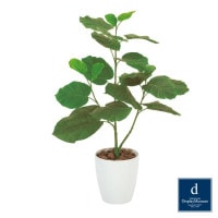 ����٥顼�� 80cm��GLPA-079 �����ƥ��ե�����륰�꡼�� �͹����տ�ʪ ȭ�դ����꡼��