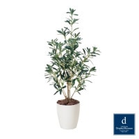 ���꡼�� 90cm��GLPA-080 �����ƥ��ե�����륰�꡼�� �͹����տ�ʪ ȭ�դ����꡼��