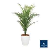 �ѡ���ĥ꡼ 95cm�ʥݥ����ˡ�GLPA-081 �����ƥ��ե�����륰�꡼�� �͹����տ�ʪ ȭ�դ����꡼��