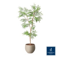 ���С��ե�å��� 100cm��GLPA-083 �����ƥ��ե�����륰�꡼�� �͹����տ�ʪ ȭ�դ����꡼��