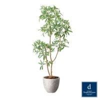 �����ե�� 160cm��GLPA-084 �����ƥ��ե�����륰�꡼�� �͹����տ�ʪ ȭ�դ����꡼��