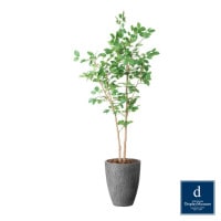 ���ХΥ� 180cm��GLPA-085 �����ƥ��ե�����륰�꡼�� �͹����տ�ʪ ȭ�դ����꡼��