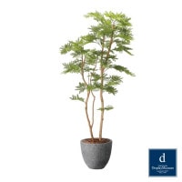 �ͤ���� 160cm�ʥݥ����ˡ�GLPA-086�����ƥ��ե�����륰�꡼�� �͹����տ�ʪ ȭ�դ����꡼��