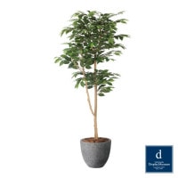 �ʥ�����٥󥸥�ߥ� 160cm��GLPA-087 �����ƥ��ե�����륰�꡼�� �͹����տ�ʪ ȭ�դ����꡼��