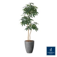 �ʥ�����ѥ��� 180cm��GLPA-088 �����ƥ��ե�����륰�꡼�� �͹����տ�ʪ ȭ�դ����꡼��