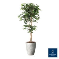 �ʥ�����٥󥸥�ߥ� 180cm��GLPA-089 �����ƥ��ե�����륰�꡼�� �͹����տ�ʪ ȭ�դ����꡼��