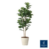 �ʥ����륫����Х��� 180cm��GLPA-090 �����ƥ��ե�����륰�꡼�� �͹����տ�ʪ ȭ�դ����꡼��