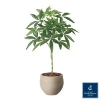 �ʥ�����ѥ��� 90cm��GLPA-092 �����ƥ��ե�����륰�꡼�� �͹����տ�ʪ ȭ�դ����꡼��