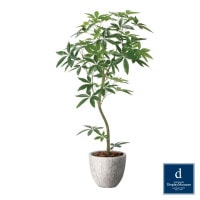 �ʥ�����ѥ��� 160cm��GLPA-095 �����ƥ��ե�����륰�꡼�� �͹����տ�ʪ ȭ�դ����꡼��