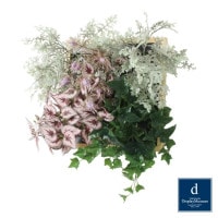 ���å��ե졼�ॢ��󥸥����꡼B W50cm H55cm��PDSS-0020 �����ƥ��ե�����륰�꡼�� �͹����տ�ʪ ���꡼��