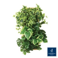 ���å��ե졼�ॢ��󥸥ʥ�����A W50cm H70cm��PDSS-0021 �����ƥ��ե�����륰�꡼�� �͹����տ�ʪ ���꡼��