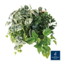 ���å��ե졼�ॢ��󥸥ʥ�����B W55cm H55cm��PDSS-0022 �����ƥ��ե�����륰�꡼�� �͹����տ�ʪ ���꡼��