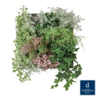 ���å��ץ��ĥ��å�D 	W70cm H80cm��PDSS-0024 �����ƥ��ե�����륰�꡼�� �͹����տ�ʪ ���꡼��