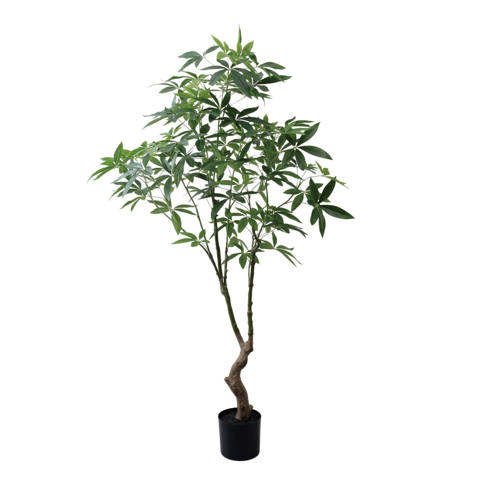 パキラ 180cm｜GLP-1566 アーティフィシャルグリーン 人工観葉植物