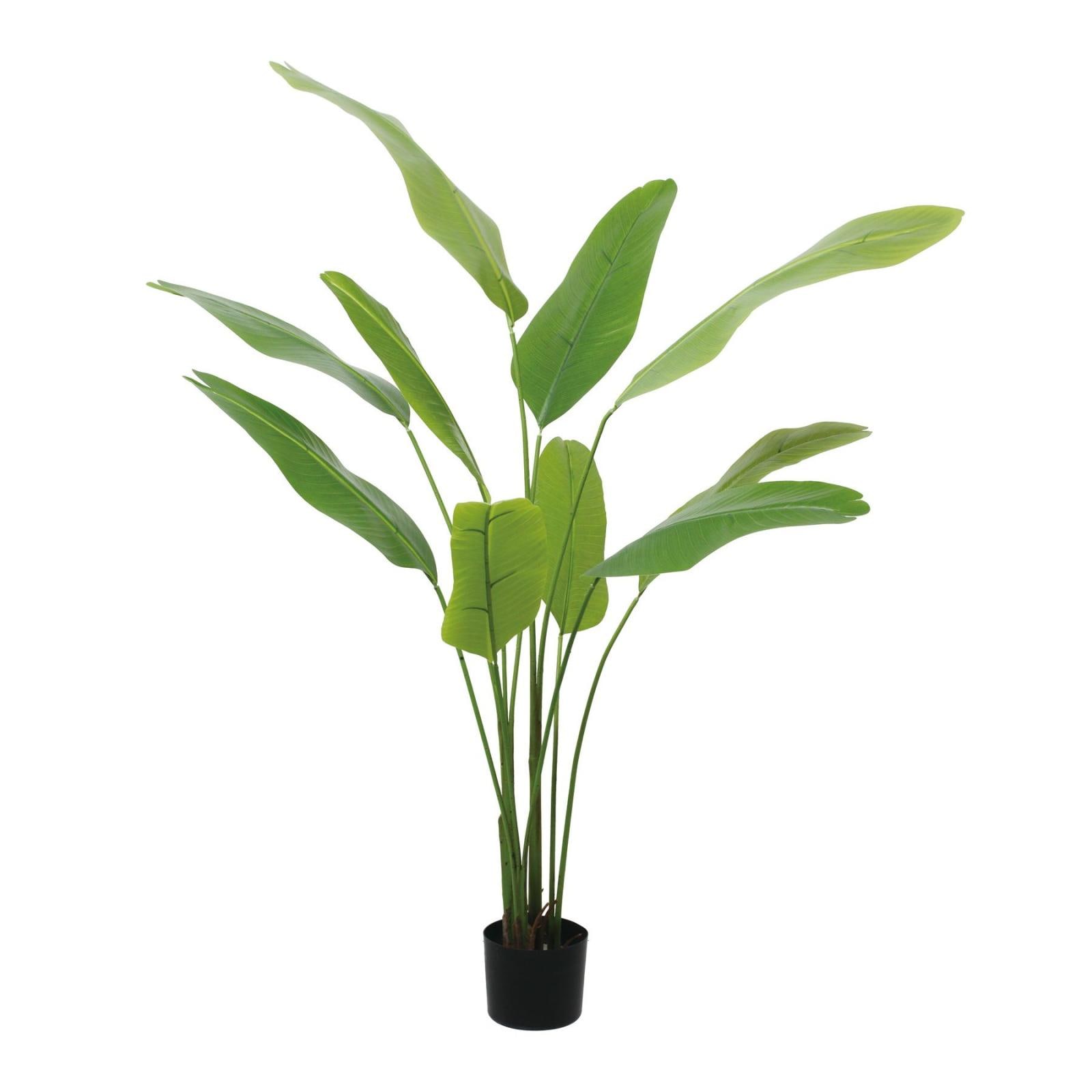 Dream Plants ٩(❛ᴗ❛)۶専用 トラベラーズパーム 140cm｜GLP-1579 アーティフィシャル