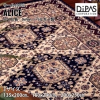 ��饦����ȥ� �ڥ륷������� �ǥ����ѥ� Globe ���ꥹ ����ݡ��ȥ饰 ��3������ 