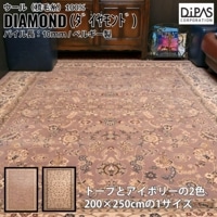 ��饦����ȥ� �ڥ륷������� �ǥ����ѥ� Globe ��������� ����ݡ��ȥ饰 ��2��