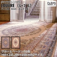 ��饦����ȥ� �ڥ륷������� �ǥ����ѥ� Globe �롼�֥� ����ݡ��ȥ饰 ��2����2������