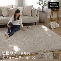 Ķ�˸��ס��ɥ�Ĵ�ܥ�塼��饰��NP-02��