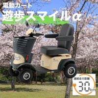 [ư] Serio ͷ⥹ޥ륢ե ʥ١ 00020-000053  (̳ƻ졦Υ)