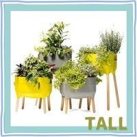 �ץ饹�ƥ��� ��plastia�۵��եץ�󥿡�Tall/�饤�ȥ��졼���饤�ȥ��꡼��å����ǥ� ��ư���ץ�󥿡� ���� ����̵�� �̳�ƻ�������Υ����������
