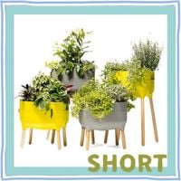 �ץ饹�ƥ��� ��plastia�۵��եץ�󥿡�Short/�饤�ȥ��졼���饤�ȥ��꡼��å����ǥ� ��ư���ץ�󥿡� ���� ����̵�� �̳�ƻ�������Υ����������