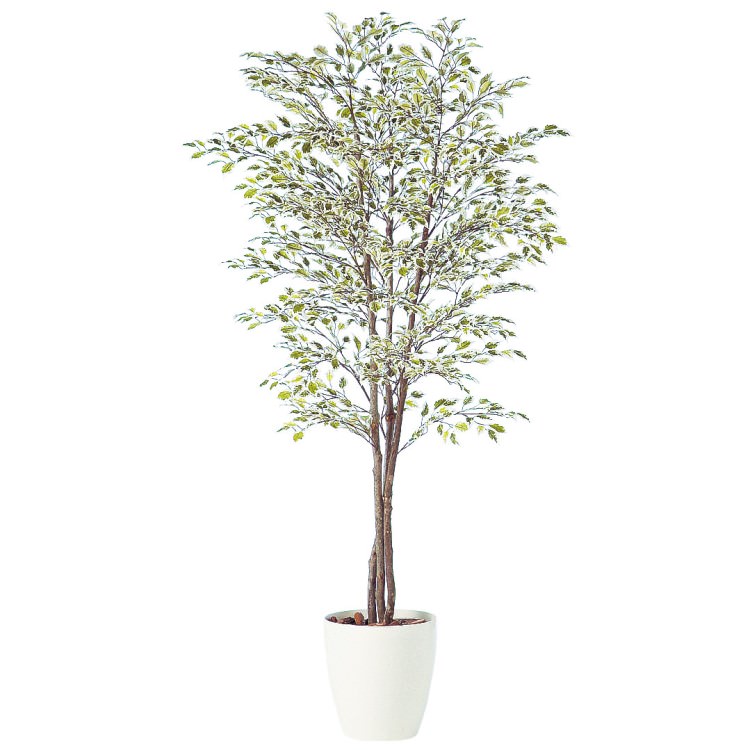 ٥󥸥ߥʥ饤ȥȥץ W100H200cmTK91247 ƥե륰꡼ ͹տʪ ͹ ȭդ꡼