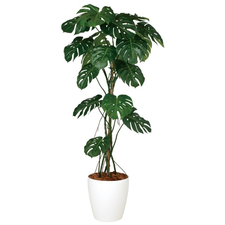 ��󥹥ƥ�Х��� W80��H180cm��TK99124 �����ƥ��ե�����륰�꡼�� �͹����տ�ʪ �͹����� ȭ�դ����꡼��