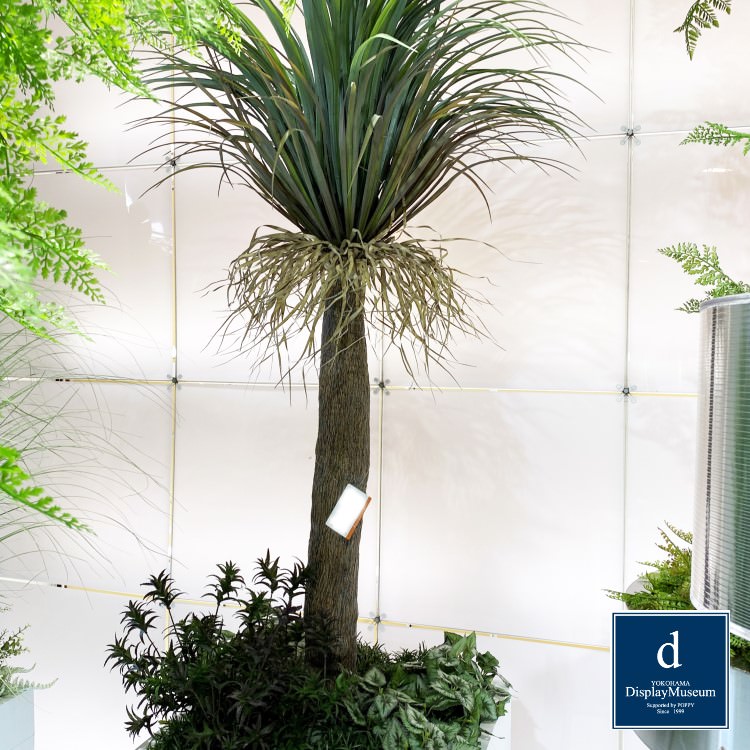 ���꡼�󥢥�󥸥��� (��å������ȥ顼��)210cm�ò��ͥǥ����ץ쥤�ߥ塼������ FBCD-5001 �����ƥ��ե�����륰�꡼�� ���꡼�󥢥�󥸥��� ¤�� �١����դ�