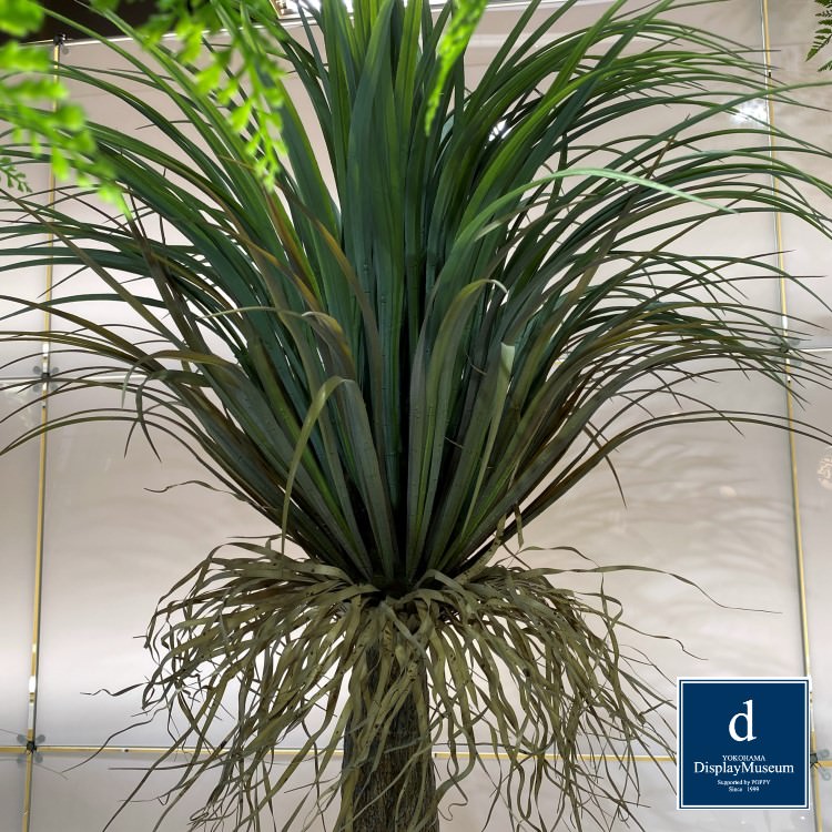 ���꡼�󥢥�󥸥��� (��å������ȥ顼��)210cm�ò��ͥǥ����ץ쥤�ߥ塼������ FBCD-5001 �����ƥ��ե�����륰�꡼�� ���꡼�󥢥�󥸥��� ¤�� �١����դ�