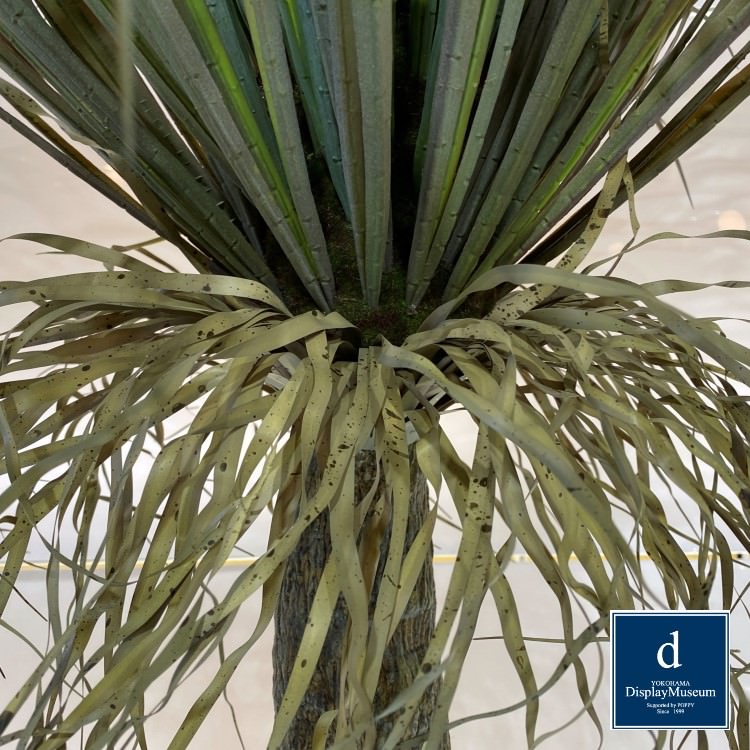 ���꡼�󥢥�󥸥��� (��å������ȥ顼��)210cm�ò��ͥǥ����ץ쥤�ߥ塼������ FBCD-5001 �����ƥ��ե�����륰�꡼�� ���꡼�󥢥�󥸥��� ¤�� �١����դ�